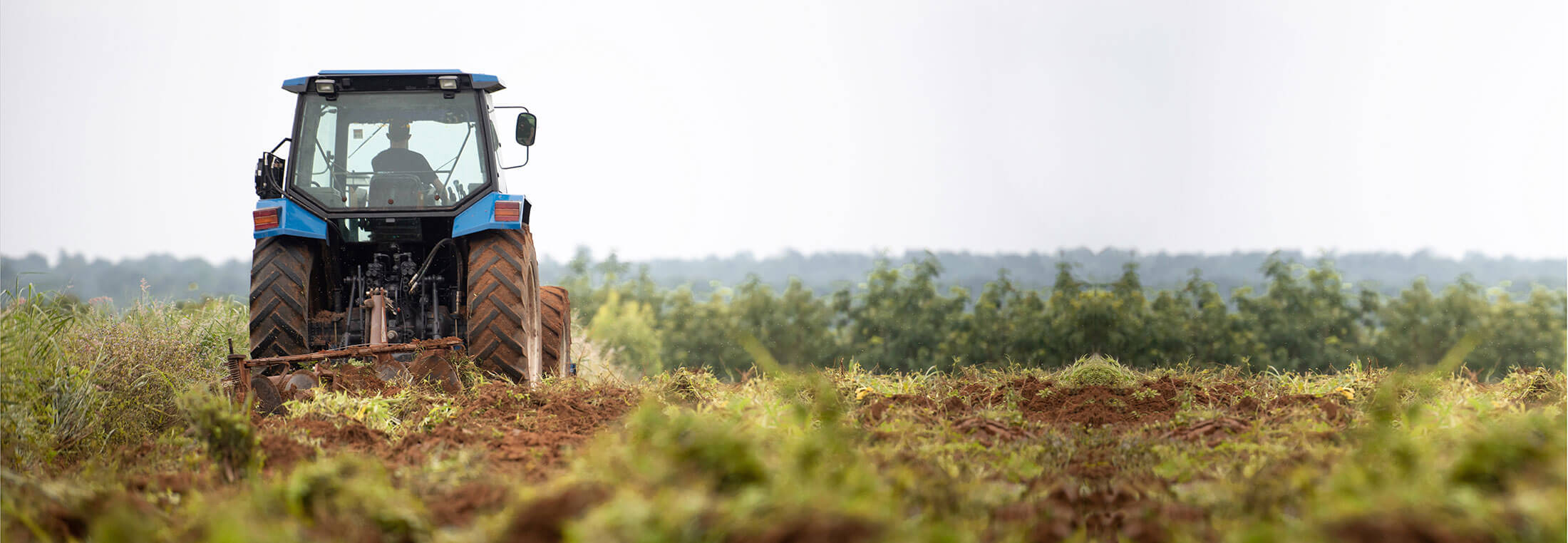 Komposterde für die Landwirtschaft Komposterde für die Landwirtschaft…